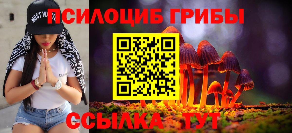 Псилоцибиновые грибы Cubensis  Вход с VPN  Оренбург  Псилоцибиновые грибы Psilocybine cubensis 
